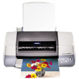 Epson Stylus Color 890 printer