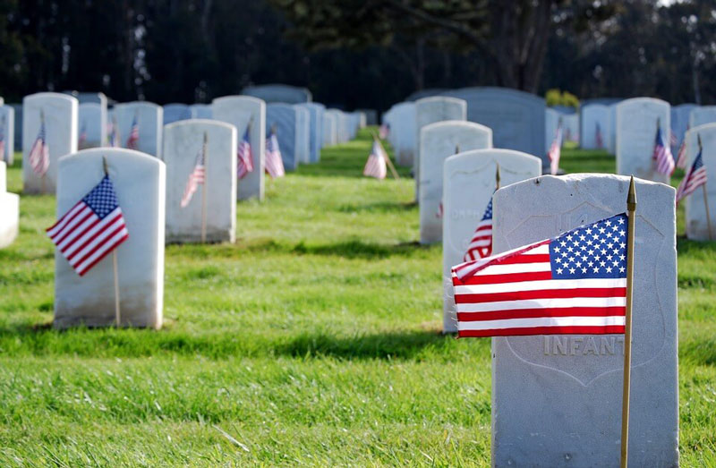 American flags in veterans cemetery